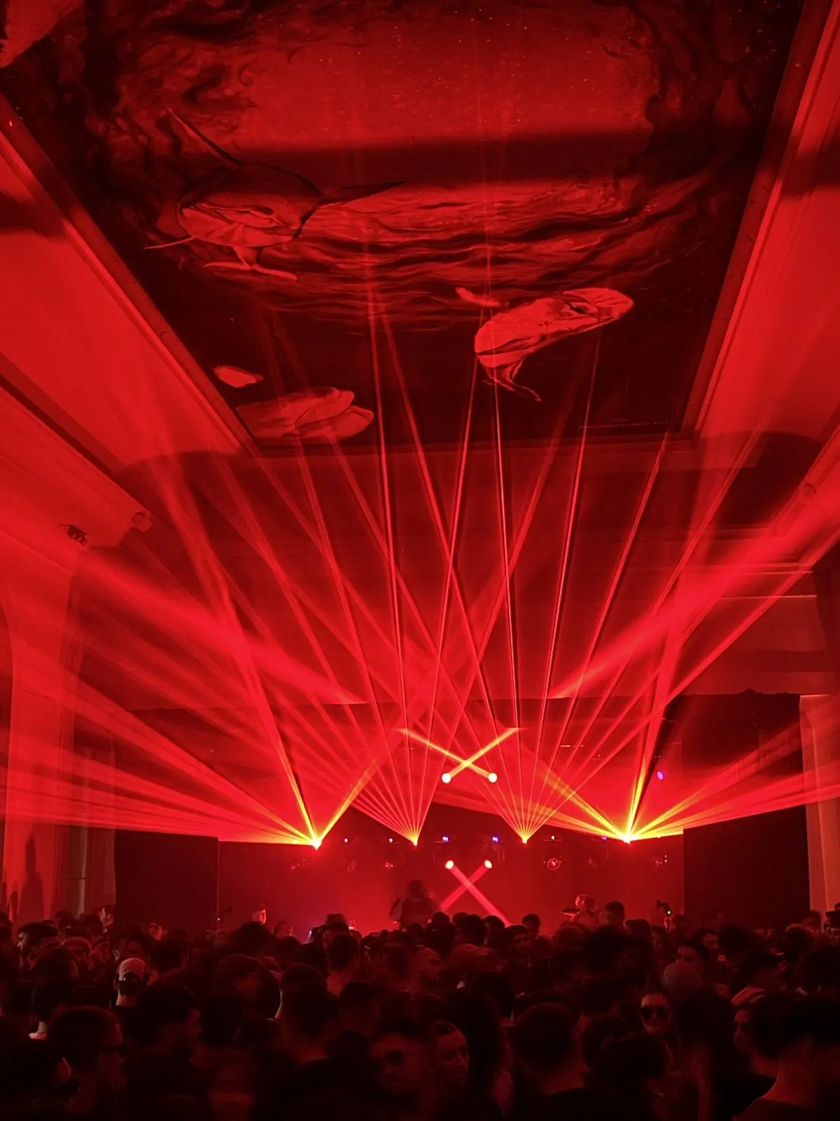 Show de láseres rojos en recital y boliche